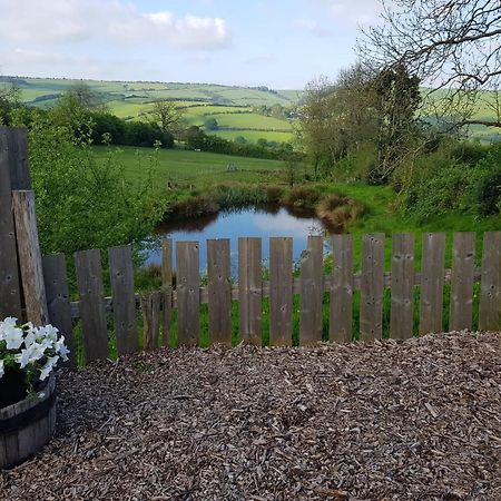 Eco Accommodation Cornflower Craven Arms Exterior photo