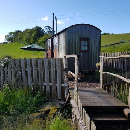 Eco Accommodation Cornflower Craven Arms Exterior photo