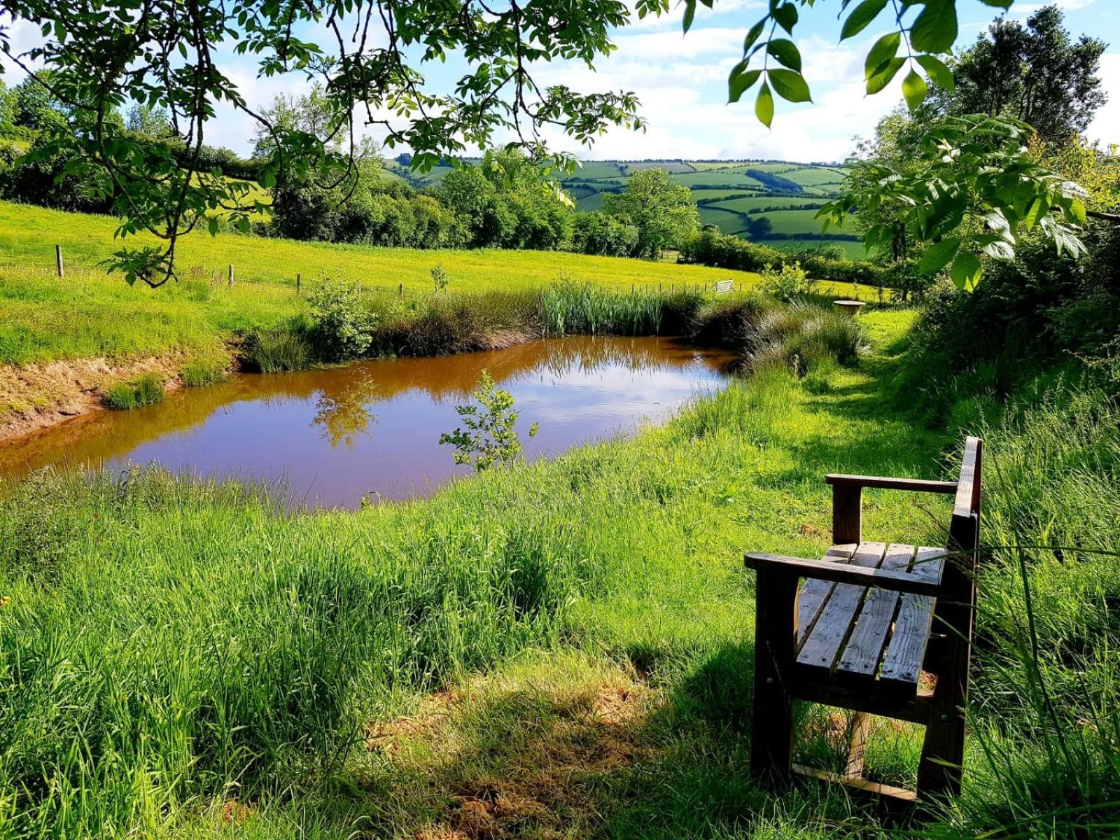 Eco Accommodation Cornflower Craven Arms Exterior photo